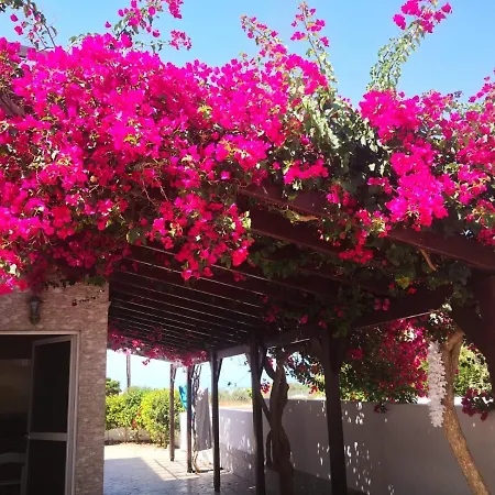 Luxury Nissi Beach